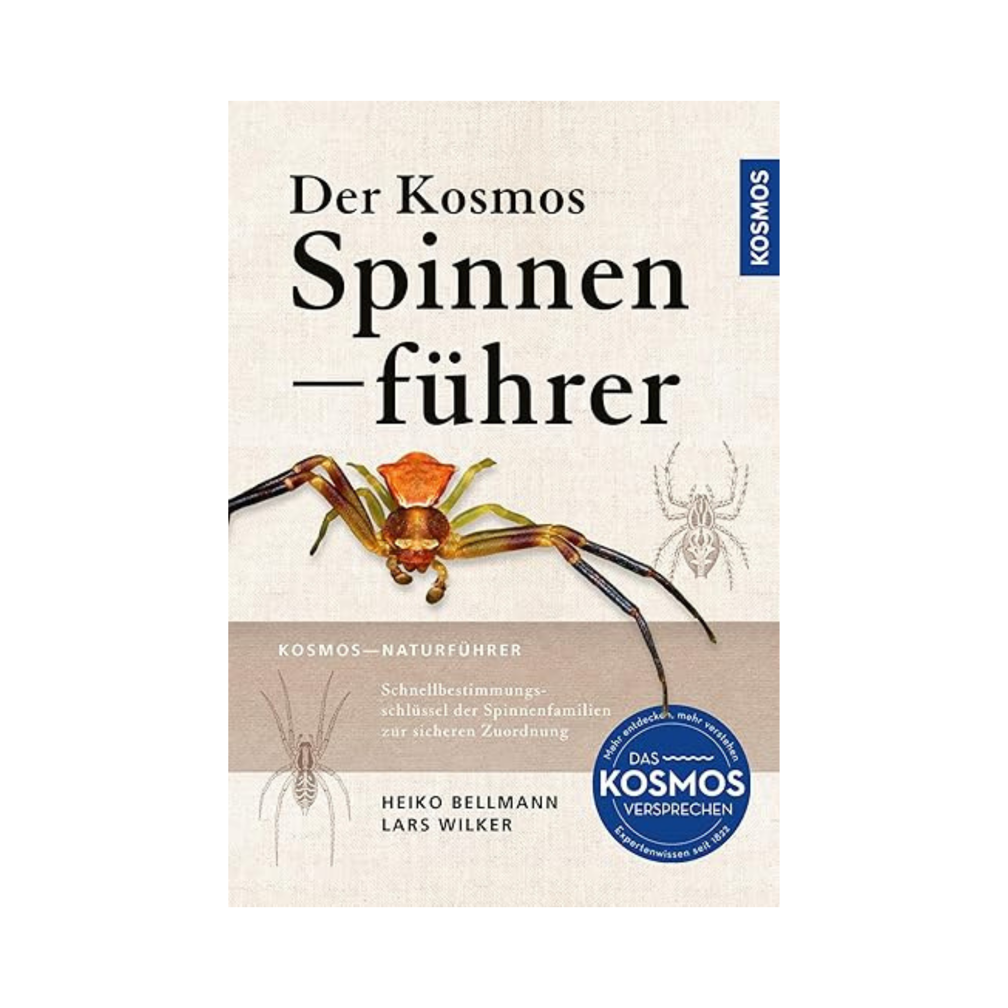 Der Kosmos Spinnenführer